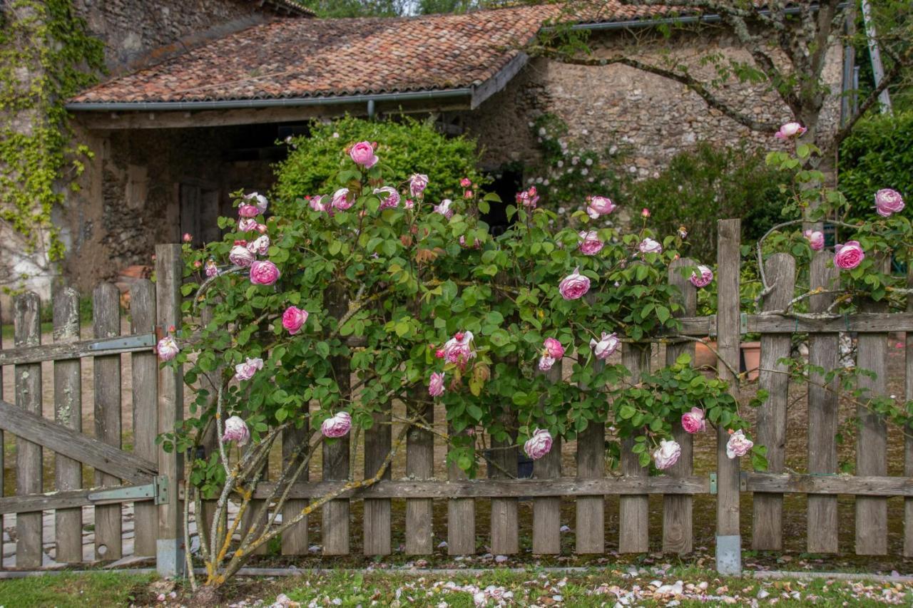 Chambres D'Hotes La Pocterie Vouneuil-sur-Vienne Exteriér fotografie