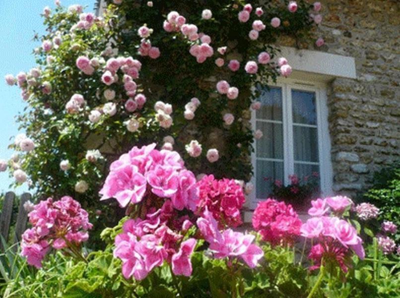 Chambres D'Hotes La Pocterie Vouneuil-sur-Vienne Exteriér fotografie